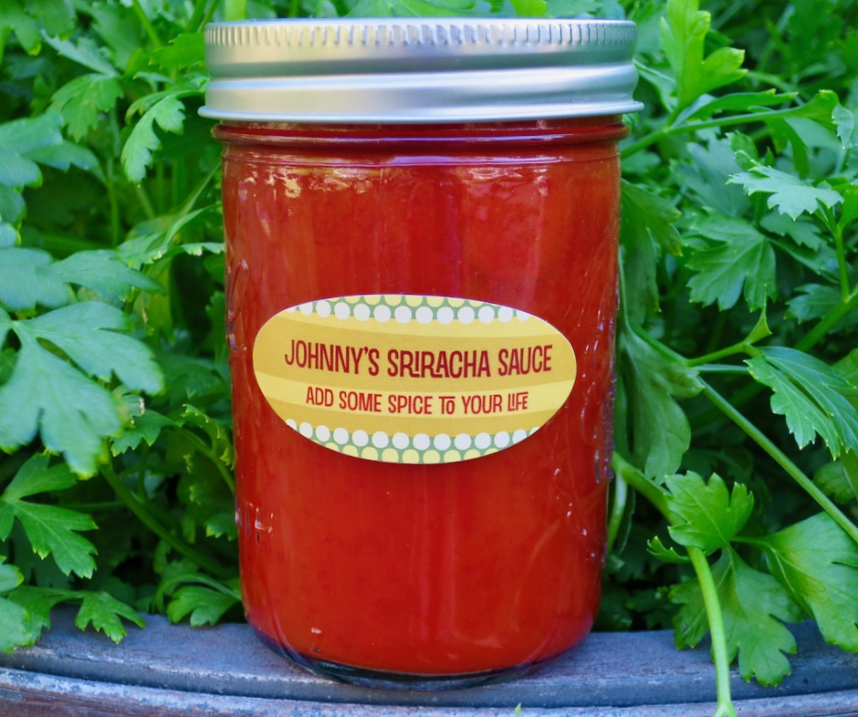 Johnny's Seasoning Salt - 16 oz jar